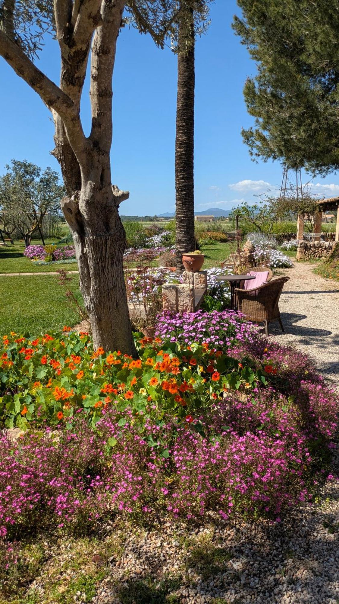 Agroturismo Finca Sant Blai กัมโปส ภายนอก รูปภาพ
